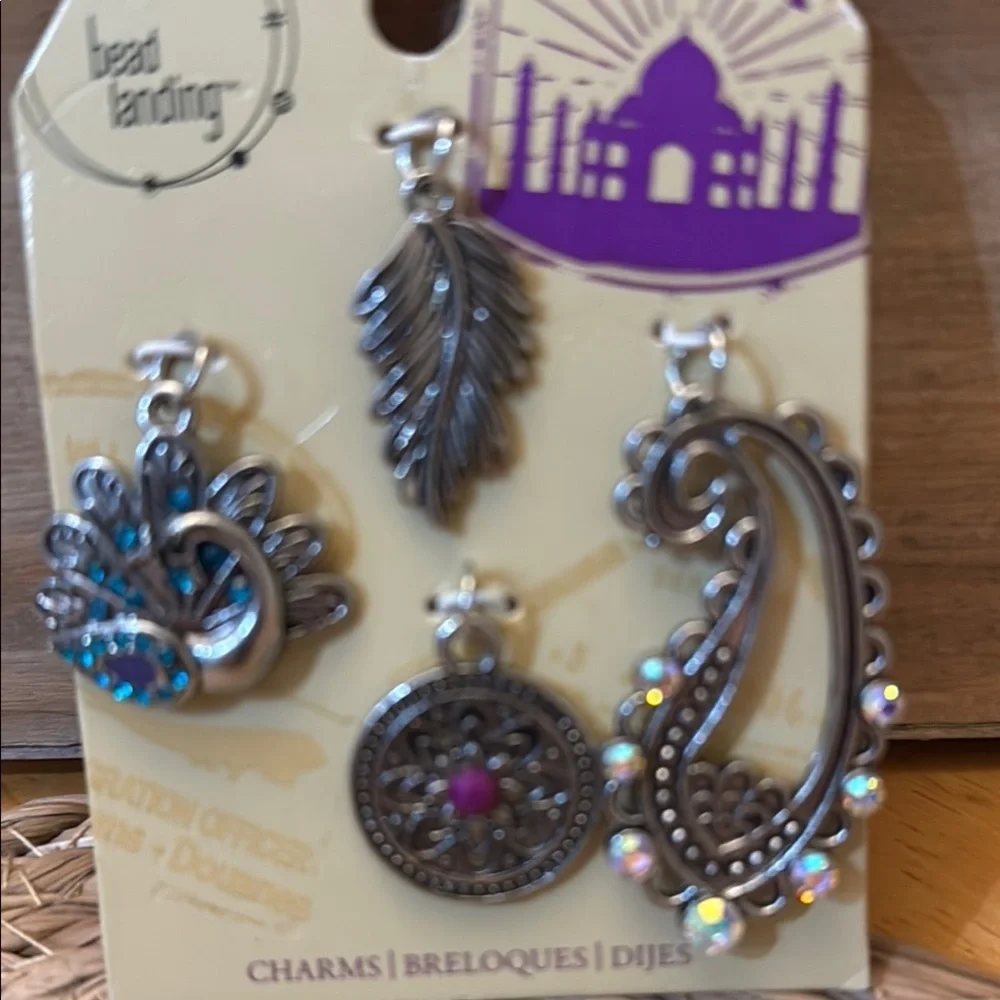 Bead Landing India Charms Set - Silver and Multicolor